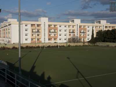 ...da dove ammiriamo il verde intenso dell'"arena" dove si sfidavano i futuri campioncini